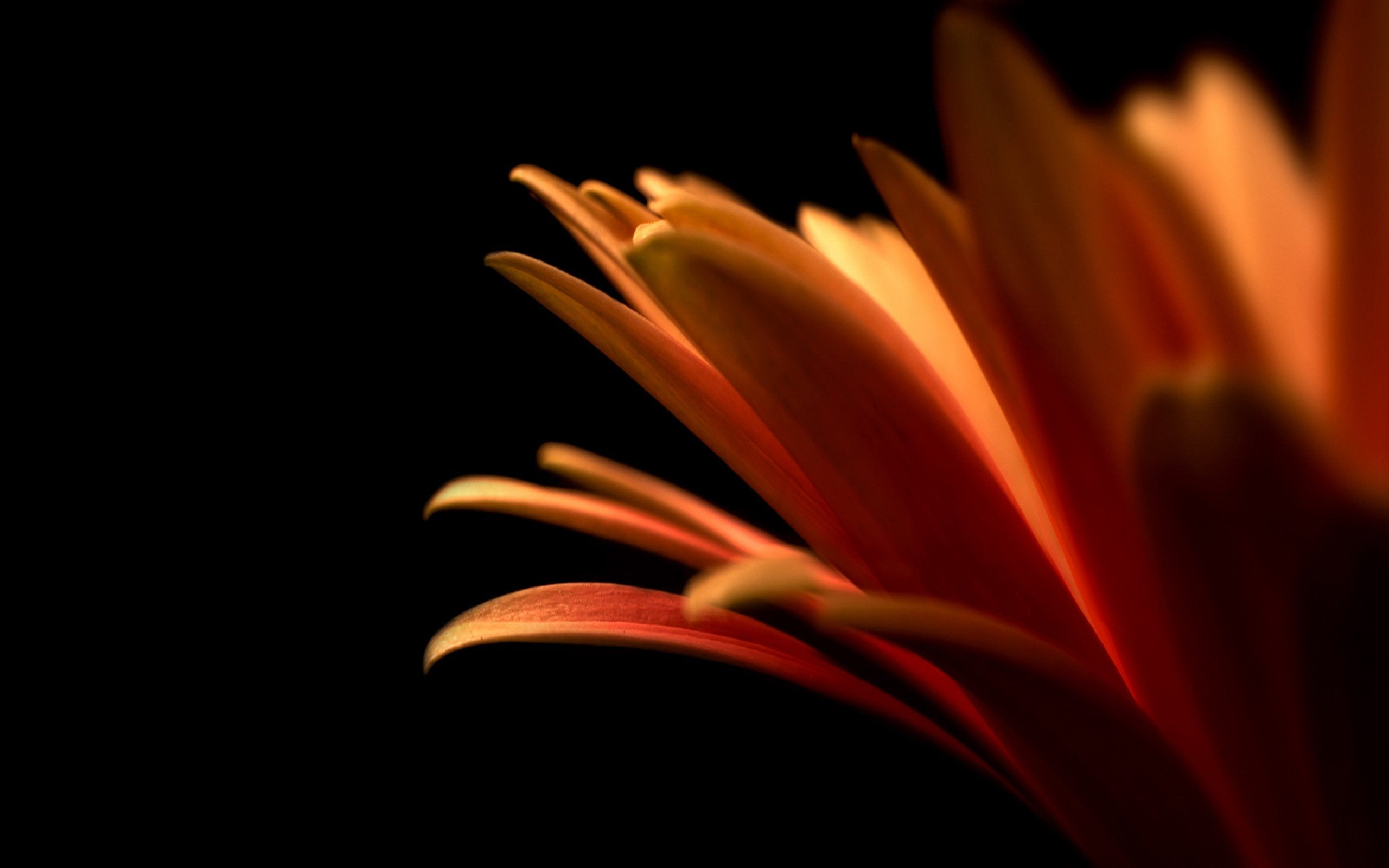 1920 x 1080 HD Wallpapers 2550